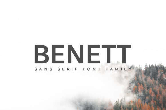 Benett Family: A Designer’s Honest Review