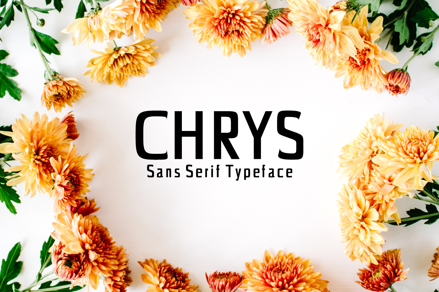 Chrys Font Review: Bold Sans Serif for Campaigns