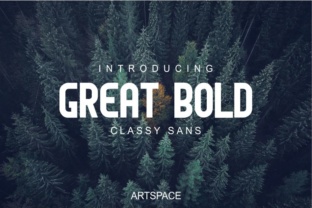 Great Bold: A Typeface for Clear Editorial Impact