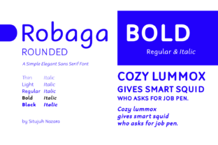 Robaga Rounded Bold: A Friendly Typeface for Modern Brands