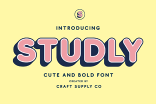 Studly Family: A Bold Typeface for Modern Editorial Design
